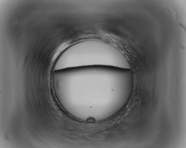 X0000097870006200803140928