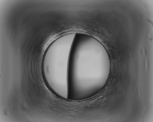 X0000097870007200803140928