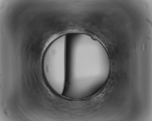 X0000097870008200803140928