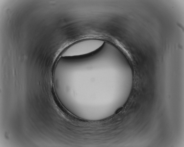 X0000097870011200803140928