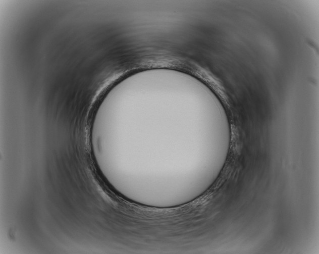 X0000097870012200803140928