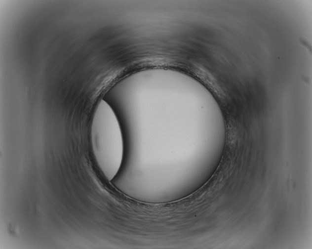 X0000097870014200803140928