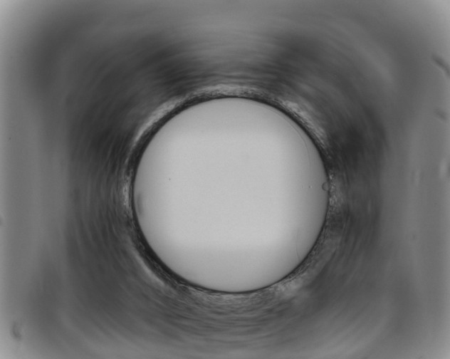 X0000097870016200803140928