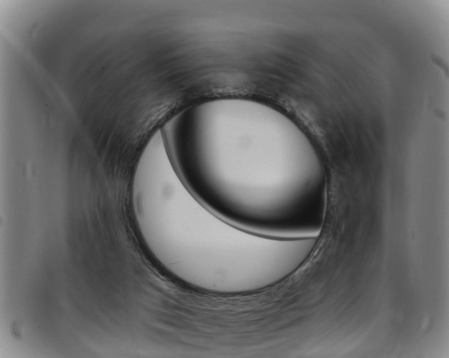 X0000097870017200803140928