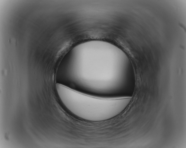 X0000097870019200803140928