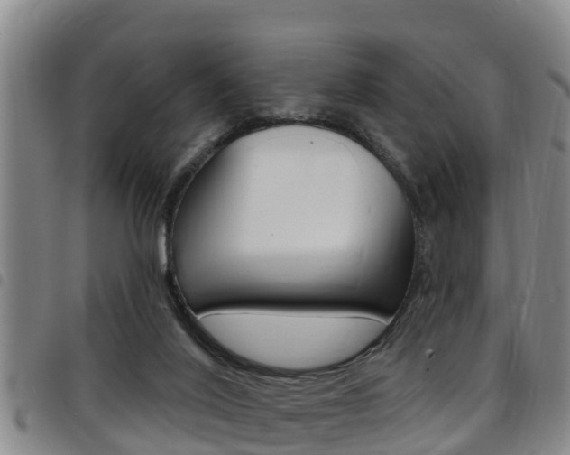 X0000097870020200803140928