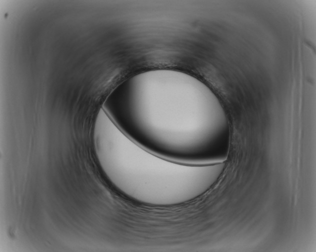 X0000097870021200803140928