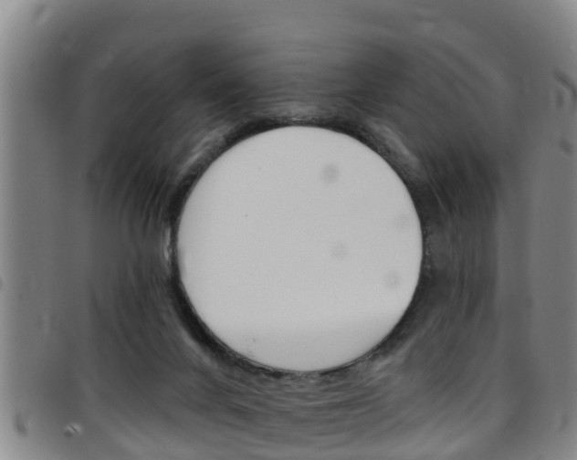 X0000097870024200803140928