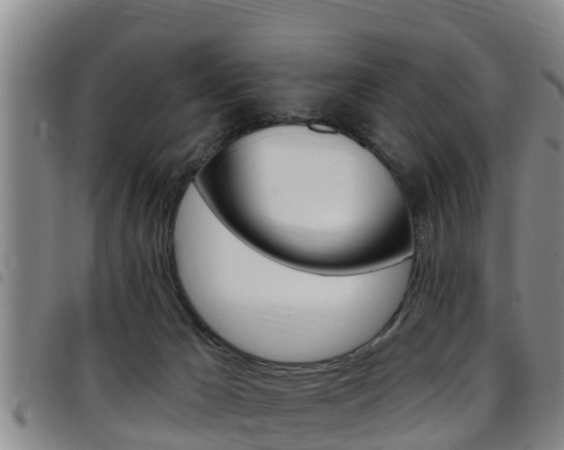 X0000097870029200803140928