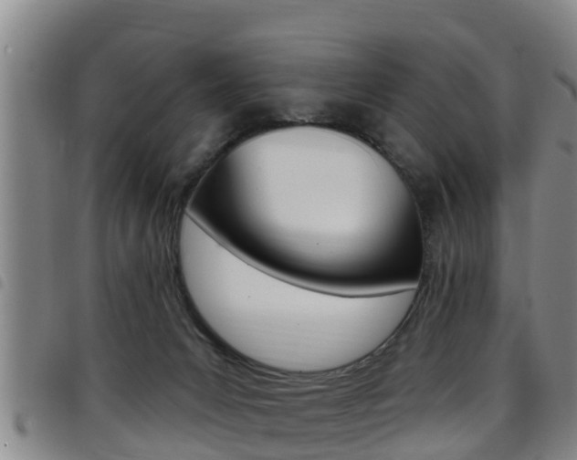 X0000097870031200803140928