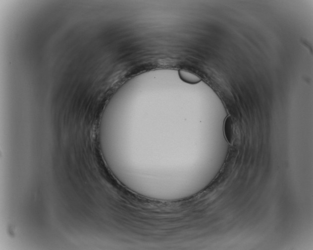 X0000097870032200803140928