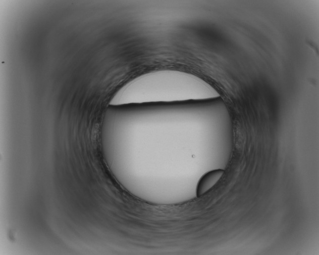 X0000097870034200803140928