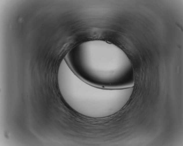X0000097870035200803140928