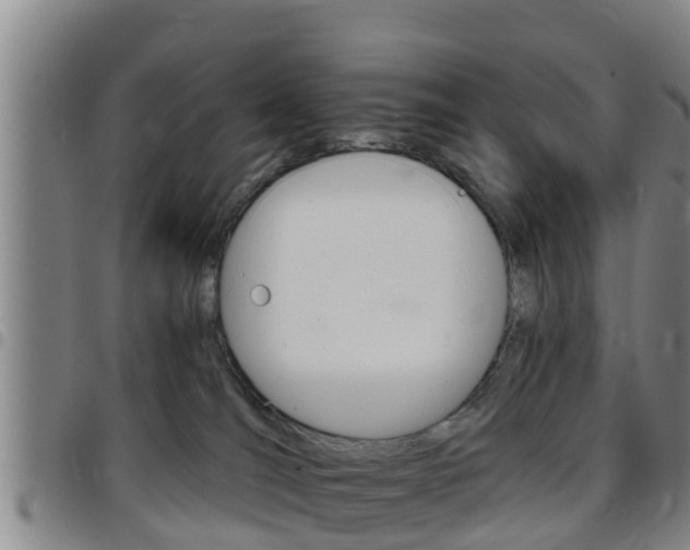 X0000097870036200803140928