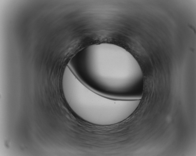 X0000097870039200803140928