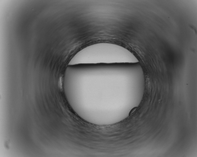 X0000097870042200803140927