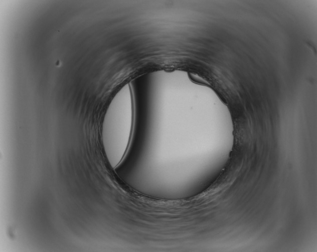 X0000097870044200803140927
