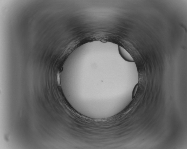 X0000097870046200803140927