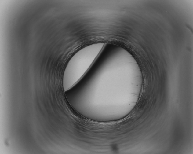 X0000097870048200803140927
