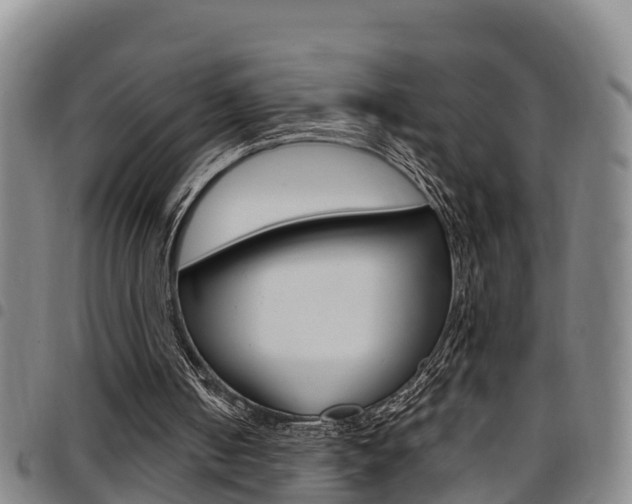 X0000097870050200803140927