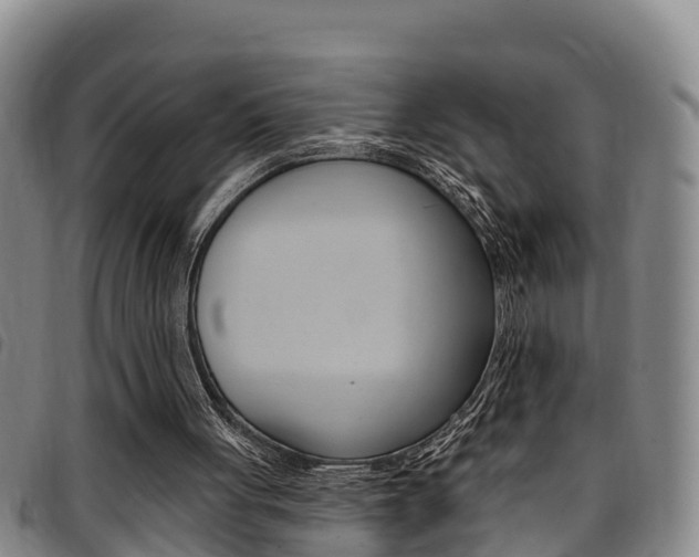 X0000097870051200803140927