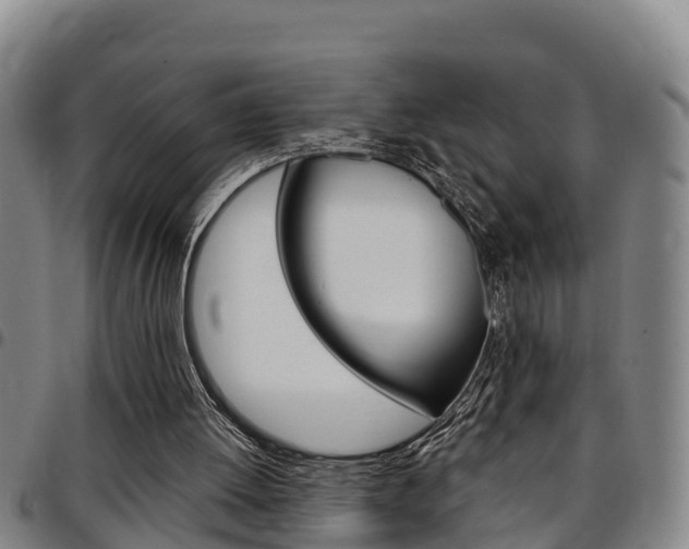 X0000097870052200803140927