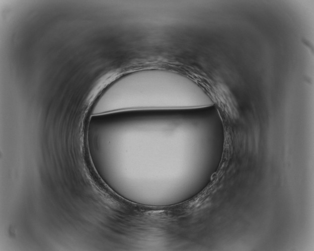 X0000097870054200803140927