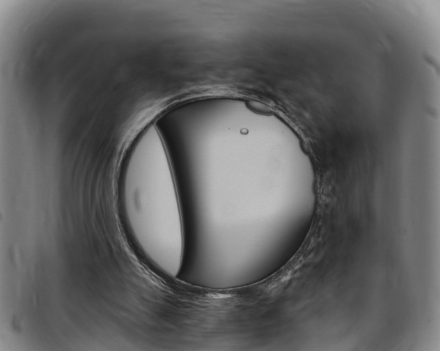X0000097870055200803140927