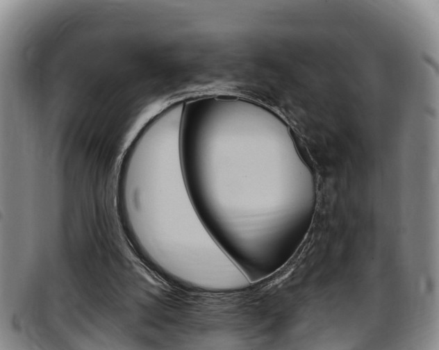 X0000097870056200803140927