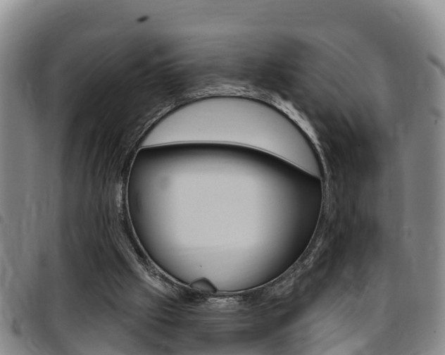 X0000097870057200803140927
