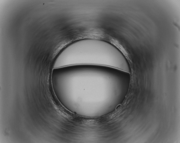 X0000097870058200803140927