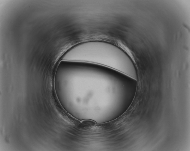 X0000097870059200803140927
