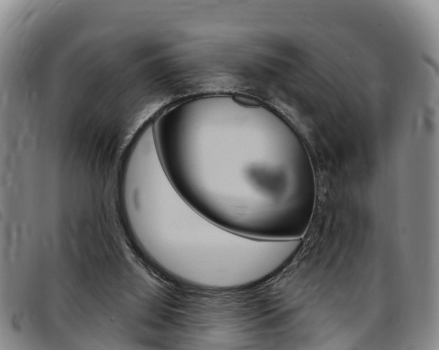 X0000097870060200803140927