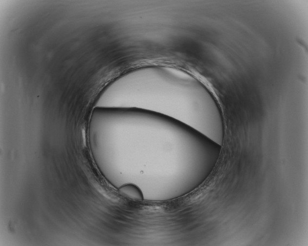 X0000097870061200803140927