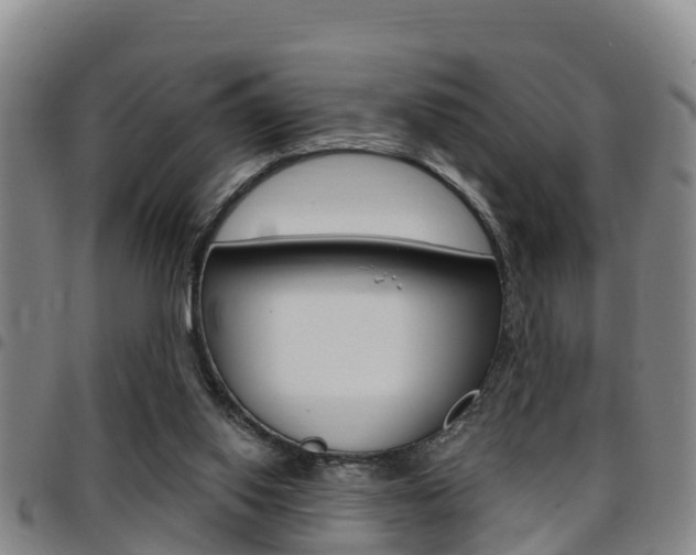 X0000097870062200803140927
