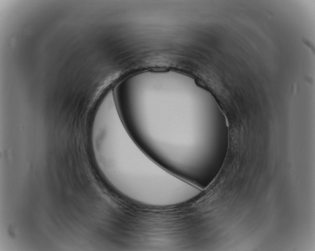 X0000097870064200803140927