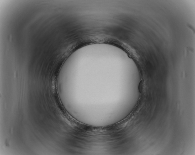 X0000097870065200803140927