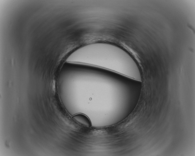 X0000097870067200803140927