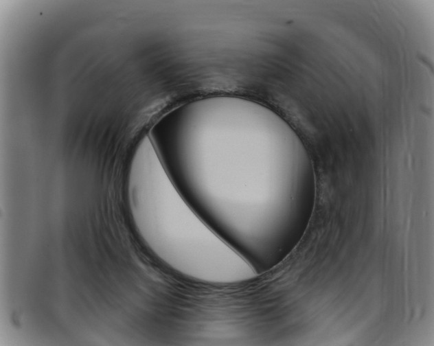 X0000097870068200803140927