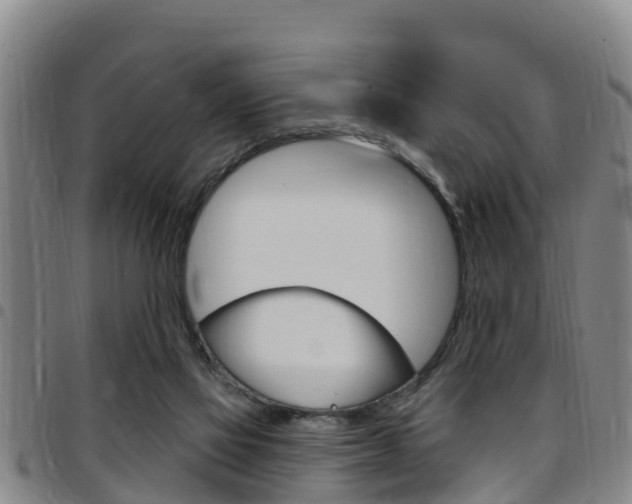 X0000097870069200803140927