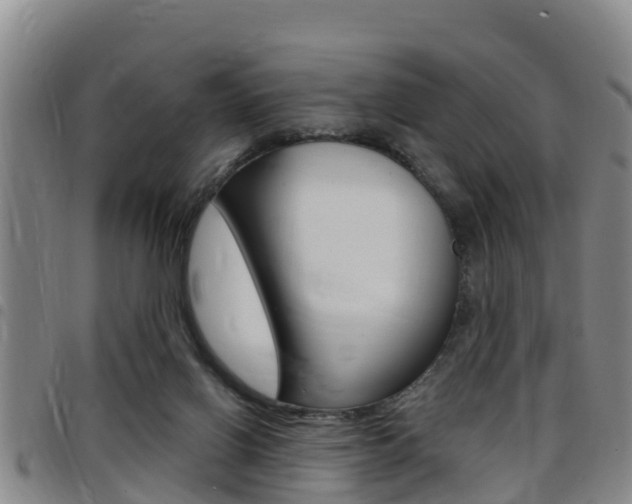 X0000097870070200803140927