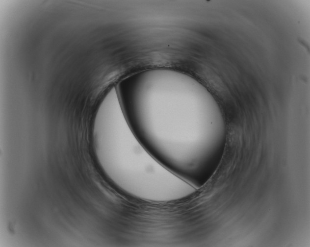 X0000097870072200803140927