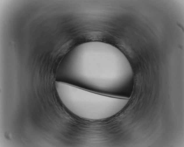 X0000097870073200803140927