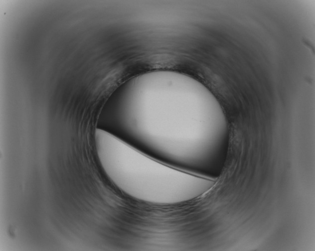 X0000097870074200803140927