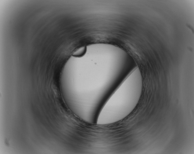 X0000097870079200803140927