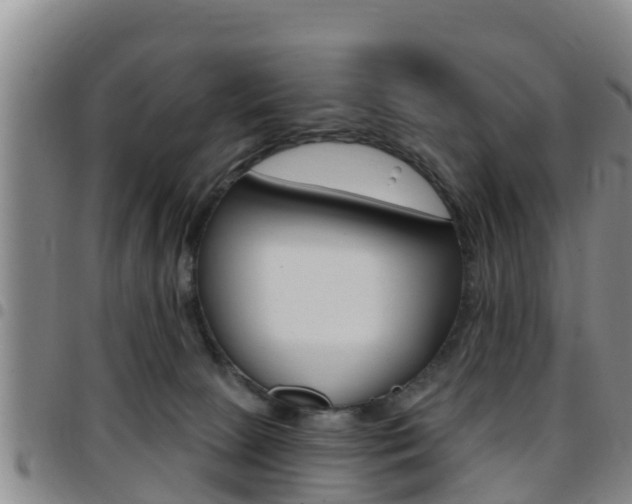 X0000097870081200803140927