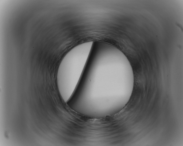 X0000097870082200803140927