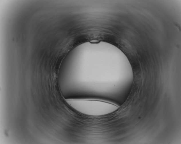 X0000097870087200803140927
