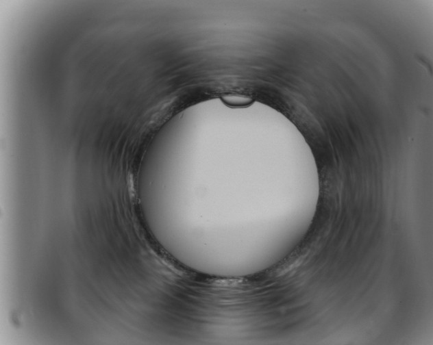 X0000097870089200803140927