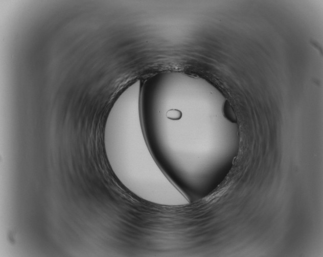 X0000097870096200803140927